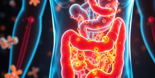 Healthy gut illustration with probiotics.
