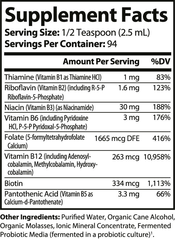 Master Vitamin B Complex Fermented Super Formula for Full-Spectrum Vitality Boost
