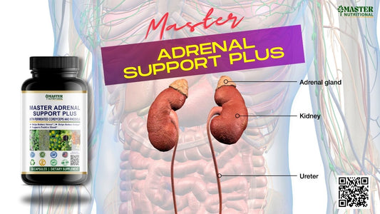 Master Adrenal Support Plus: Way to Keep Your Adrenal Glands Healthy