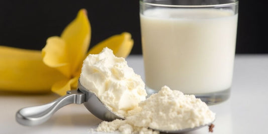 Scoop of vanilla whey protein powder with milk.